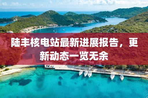 陆丰核电站最新进展报告，更新动态一览无余