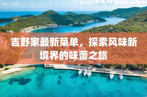 吉野家最新菜单，探索风味新境界的味蕾之旅