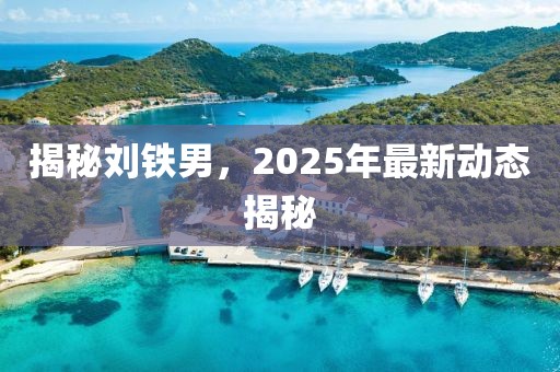 揭秘刘铁男，2025年最新动态揭秘