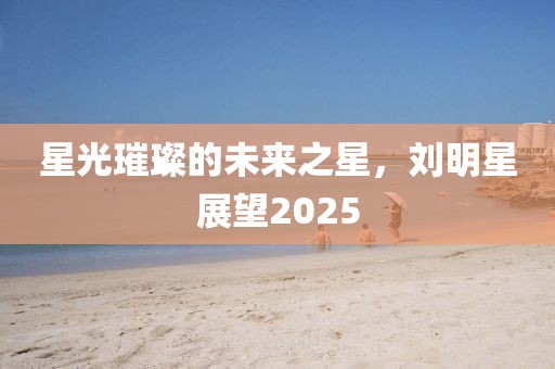 星光璀璨的未来之星，刘明星展望2025