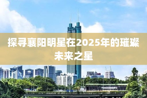 探寻襄阳明星在2025年的璀璨未来之星