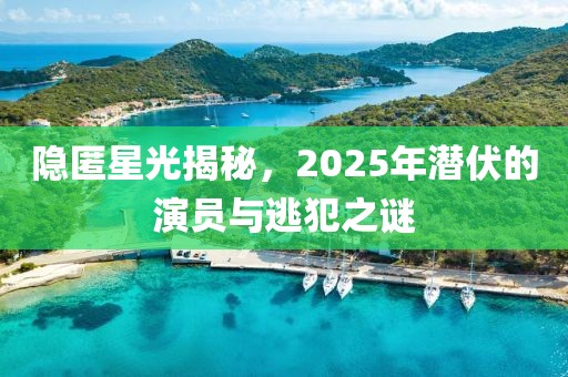 隐匿星光揭秘，2025年潜伏的演员与逃犯之谜