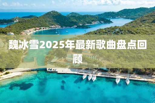 魏冰雪2025年最新歌曲盘点回顾