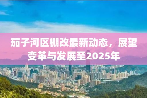 茄子河区棚改最新动态，展望变革与发展至2025年