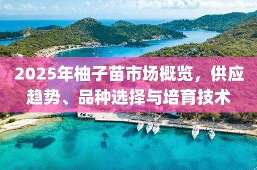 2025年柚子苗市场概览，供应趋势、品种选择与培育技术