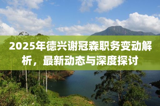 2025年德兴谢冠森职务变动解析，最新动态与深度探讨
