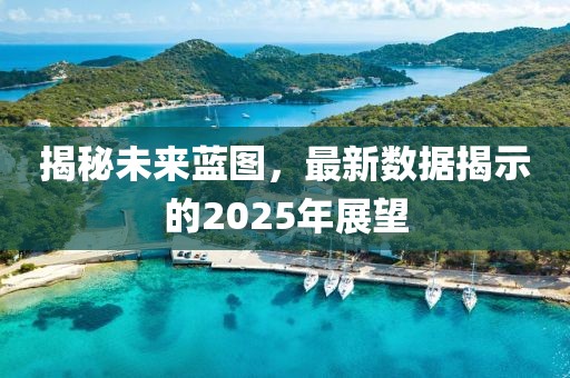 揭秘未来蓝图，最新数据揭示的2025年展望