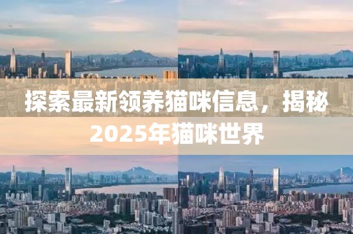 探索最新领养猫咪信息，揭秘2025年猫咪世界
