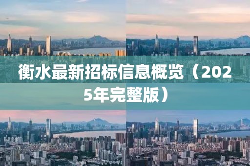衡水最新招标信息概览（2025年完整版）