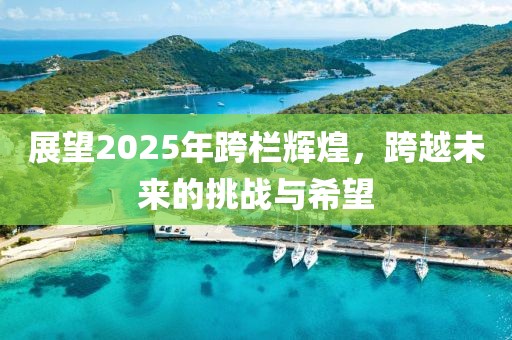展望2025年跨栏辉煌，跨越未来的挑战与希望