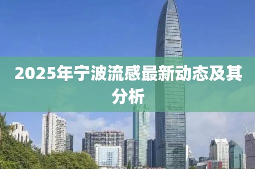 2025年宁波流感最新动态及其分析