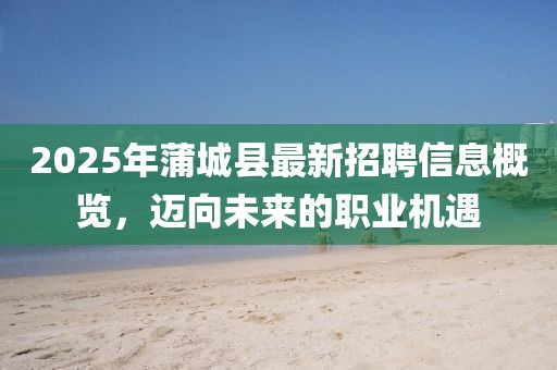 2025年蒲城县最新招聘信息概览，迈向未来的职业机遇