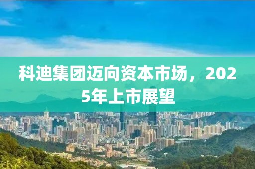 科迪集团迈向资本市场，2025年上市展望