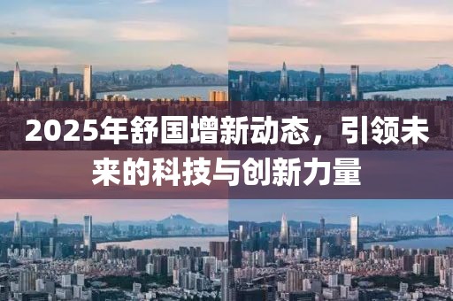 2025年舒国增新动态，引领未来的科技与创新力量
