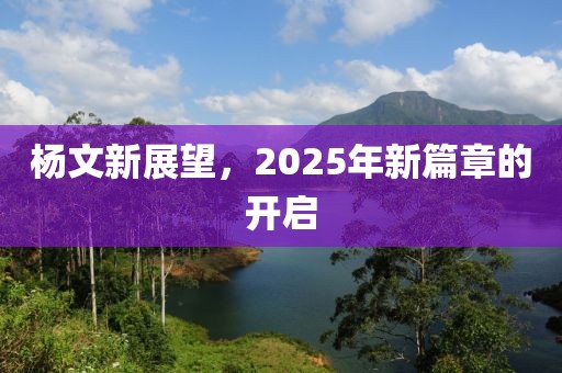 杨文新展望，2025年新篇章的开启