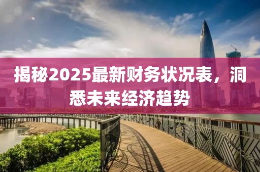 揭秘2025最新财务状况表，洞悉未来经济趋势