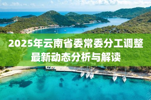 2025年云南省委常委分工调整最新动态分析与解读