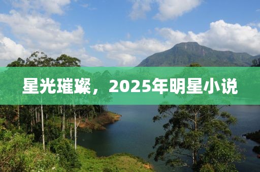 星光璀璨，2025年明星小说