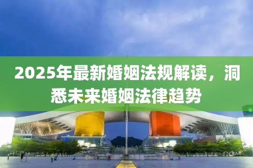 2025年最新婚姻法规解读，洞悉未来婚姻法律趋势