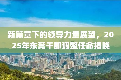 新篇章下的领导力量展望，2025年东莞干部调整任命揭晓