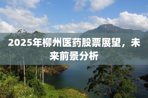 2025年柳州医药股票展望，未来前景分析