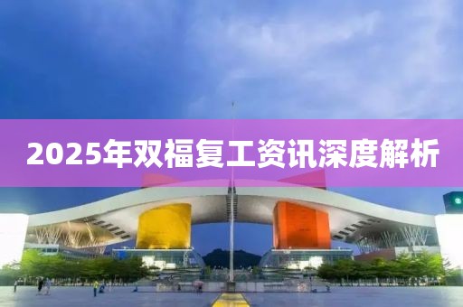2025年双福复工资讯深度解析
