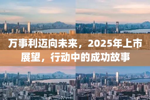 万事利迈向未来，2025年上市展望，行动中的成功故事