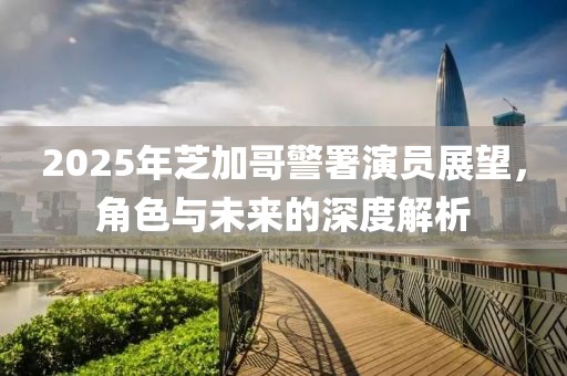 2025年芝加哥警署演员展望，角色与未来的深度解析