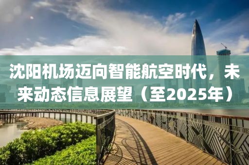 沈阳机场迈向智能航空时代，未来动态信息展望（至2025年）