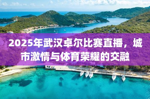 2025年武汉卓尔比赛直播，城市激情与体育荣耀的交融