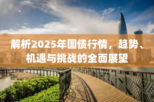 解析2025年国债行情，趋势、机遇与挑战的全面展望