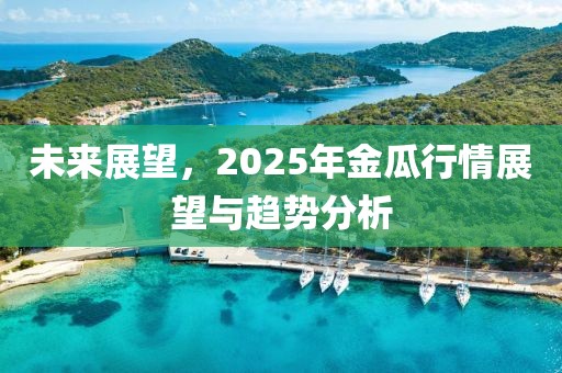 未来展望，2025年金瓜行情展望与趋势分析