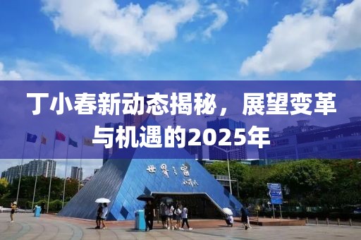丁小春新动态揭秘，展望变革与机遇的2025年