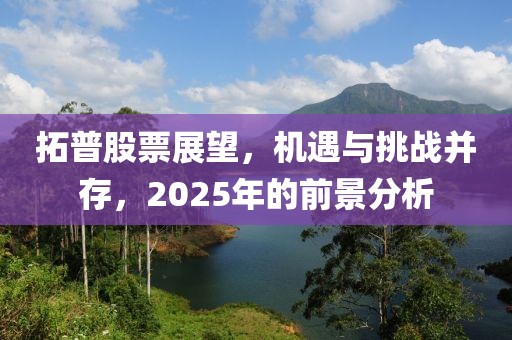 拓普股票展望，机遇与挑战并存，2025年的前景分析