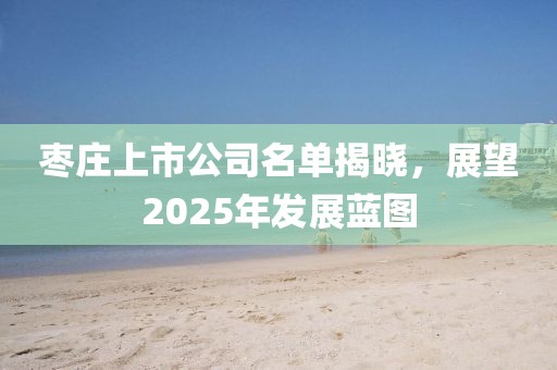 枣庄上市公司名单揭晓，展望2025年发展蓝图