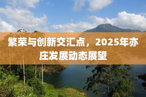 繁荣与创新交汇点，2025年亦庄发展动态展望