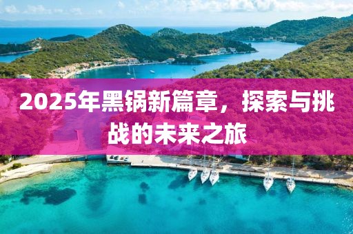 2025年黑锅新篇章，探索与挑战的未来之旅