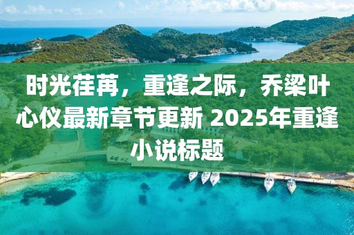 时光荏苒，重逢之际，乔梁叶心仪最新章节更新 2025年重逢小说标题