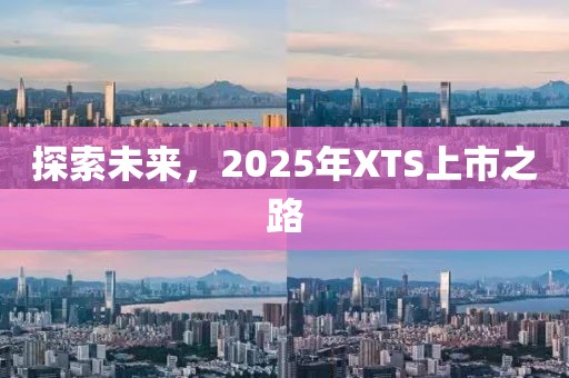 探索未来，2025年XTS上市之路