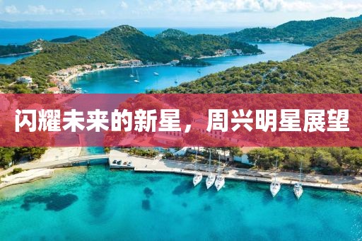 闪耀未来的新星，周兴明星展望