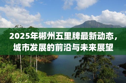 2025年郴州五里牌最新动态，城市发展的前沿与未来展望