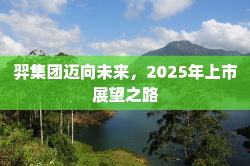 羿集团迈向未来，2025年上市展望之路
