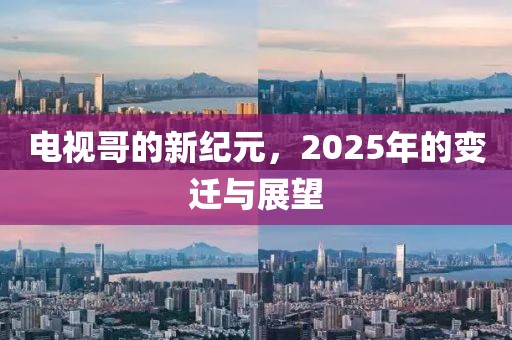 电视哥的新纪元，2025年的变迁与展望