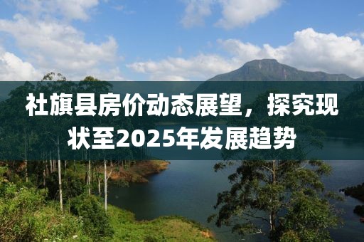 社旗县房价动态展望，探究现状至2025年发展趋势