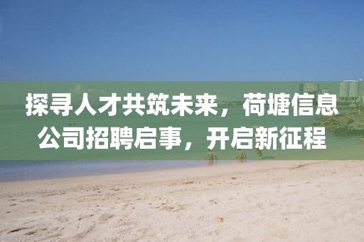 探寻人才共筑未来，荷塘信息公司招聘启事，开启新征程