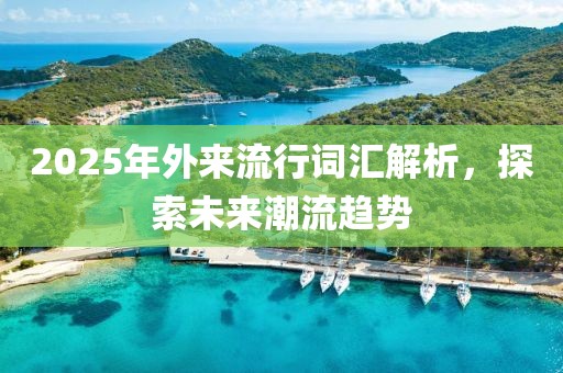 2025年外来流行词汇解析，探索未来潮流趋势