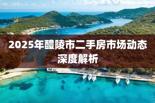 2025年醴陵市二手房市场动态深度解析