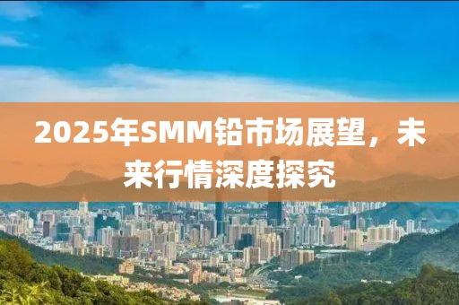 2025年SMM铅市场展望，未来行情深度探究