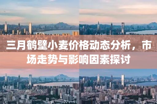 三月鹤壁小麦价格动态分析，市场走势与影响因素探讨