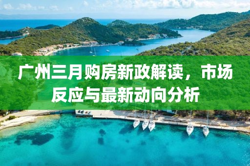 广州三月购房新政解读，市场反应与最新动向分析
